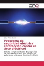 Programa de seguridad eléctrica (protección contra el arco eléctrico)