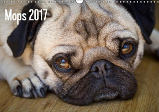 Mops 2017 (Wandkalender 2017 DIN A3 quer)