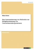 Eine Systematisierung von Methoden zur Erfolgsbestimmung von Unternehmenskooperationen