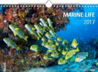Marine Life 2017