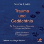 Trauma und Gedächtnis, 1 MP3-CD