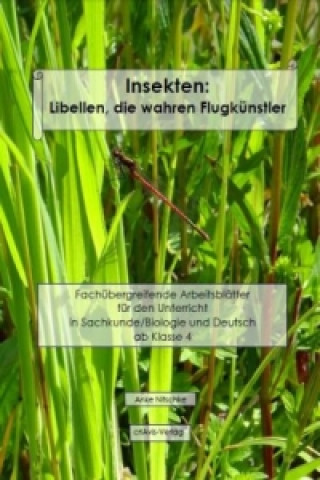 Insekten: Libellen, die wahren Flugkünstler