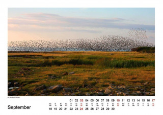 Zauber der Stille 2017 Wandkalender DIN A2