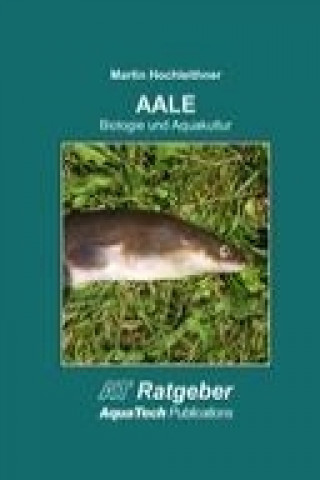 AALE (Anguillidae)