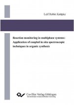 Reaction monitoring in multiphase systems: Application of coupled in situ spectroscopic techniques in organic synthesis