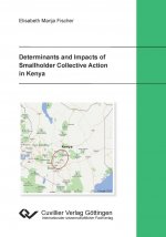 Determinants and Impact of Smallholder Collection Action in Kenya