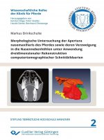 Morphologische Untersuchung der Apertura nasomaxillaris des Pferdes sowie deren Verzweigung in die Nasennebenhöhlen unter Anwendung dreidimensionaler