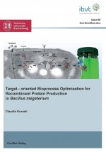 Target?oriented Bioprocess Optimization for Recombinant Protein Production in Bacillus megaterium