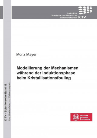 Modellierung der Mechanismen während der Induktionsphase beim Kristallisationsfouling (Band 18)