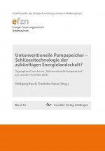 Unkonventionelle Pumpspeicher ? Schlüsseltechnologie der zukünftigen Energielandschaft? (Band 16). Tagungsband zum Forum ?Unkonventionelle Pumpspeiche