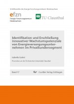 Identifikation und Erschließung innovativer Wachstumspotenziale von Energieversorgungsunternehmen im Privatkundensegment (Band 17)