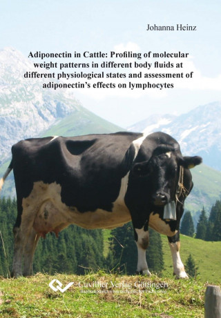 Adiponectin in Cattle: Profiling of molecular weight patterns in different body fluids at different physiological states and assessment of adiponectin