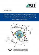 Reduktion von Polyphosphiden und Fragmentierung von As4Sn durch zweiwertige Lanthanoide sowie Darstellung eines Sm(III)-Cu(I)-Clusters