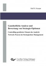Ganzheitliche Analyse und Bewertung von Strategie-Optionen