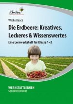 Die Erdbeere: Kreatives, Leckeres & Wissenswertes