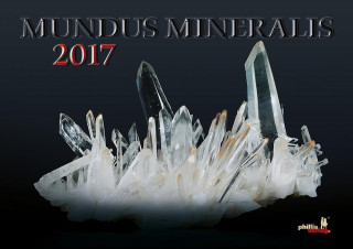 Mundus Mineralis 2017