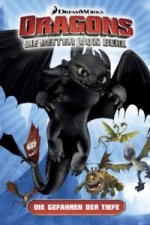 Dragons - die Reiter von Berk: Das Eisschloss