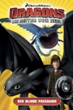 Dragons - die Reiter von Berk: Die Legende von Ragnarok