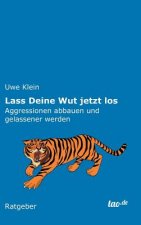 Lass Deine Wut jetzt los