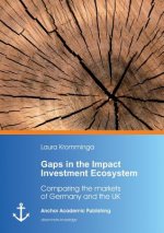 Gaps in the Impact Investment Ecosystem