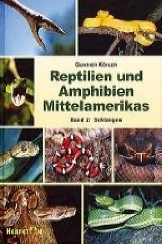 Reptilien und Amphibien Mittelamerikas. (Bd. 2)