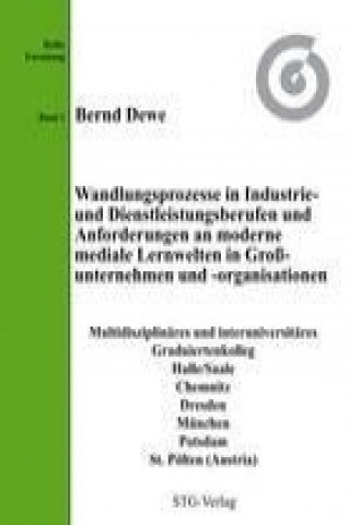 Wandlungsprozesse in Industrie- und Dienstleistungsberufen und Anforderungen an moderne mediale Lernwelten in Großunternehmen und -organisationen