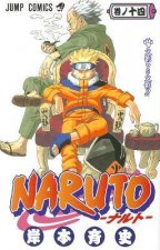 Naruto 14