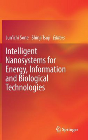 Intelligent Nanosystems for Energy, Information and Biological Technologies