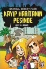 Istanbul Dedektifleri