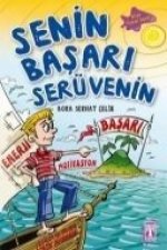 Senin Basari