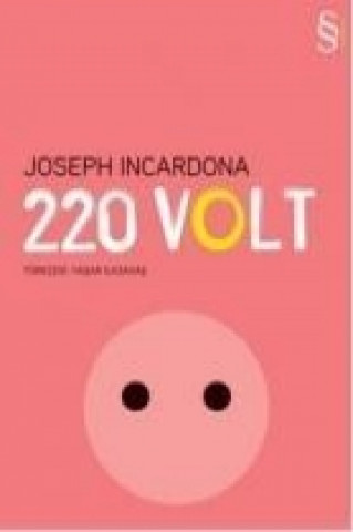 220 Volt