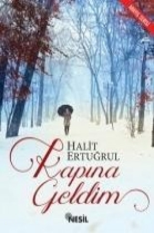 Kapina Geldim