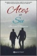 Ates ve Su I