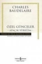Özel Günceler