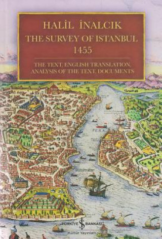 The Survey of Istanbul 1455: The Text, English Translation, Analysis of the Text, Documents