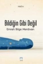 Bildigin Gibi Degil