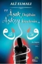 Asik Degilsin Askin Icindesin
