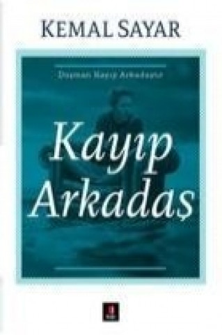 Kayip Arkadas