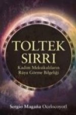 Toltek Sirri