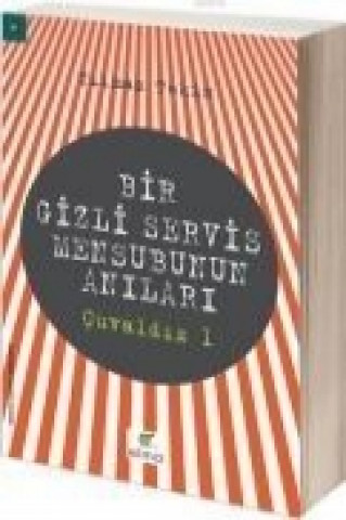 Bir Gizli Servis Mensubunun Anilari