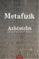 Metafizik