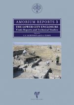 Amorium Reports 3: Lower City Enclosure. Finds Reports and Technical Studies