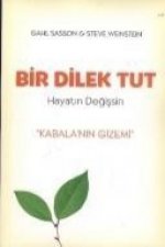 Bir Dilek Tut Hayatin Degissin