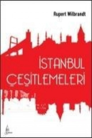 Istanbul Cesitlemeleri