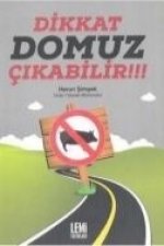 Dikkat Domuz Cikabilir