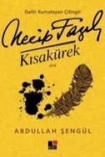 Gaibi Kurcalayan Cilingir Necip Fazil Kisakürek