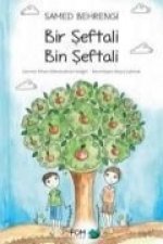 Bir Seftali Bin Seftali