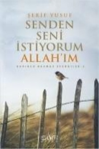 Senden Seni Istiyorum Allahim