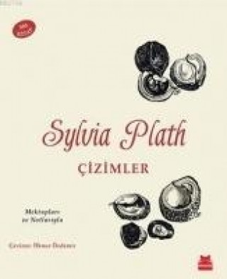 Cizimler