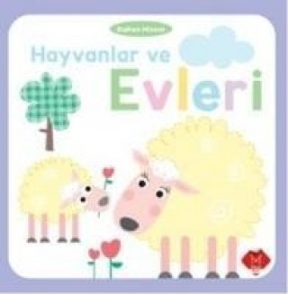 Hayvanlar ve Evleri